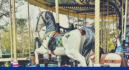 Photo d'un cheval du Carrousel du parc Bagatelle pour illustrer la catégorie Billets Tribu