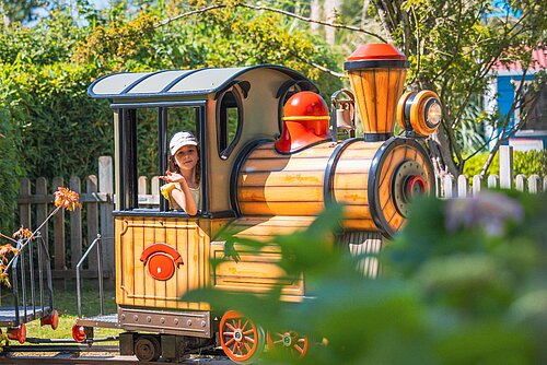 Cocotte Express