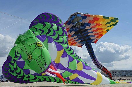 Les Cerfs-Volants de Berck 