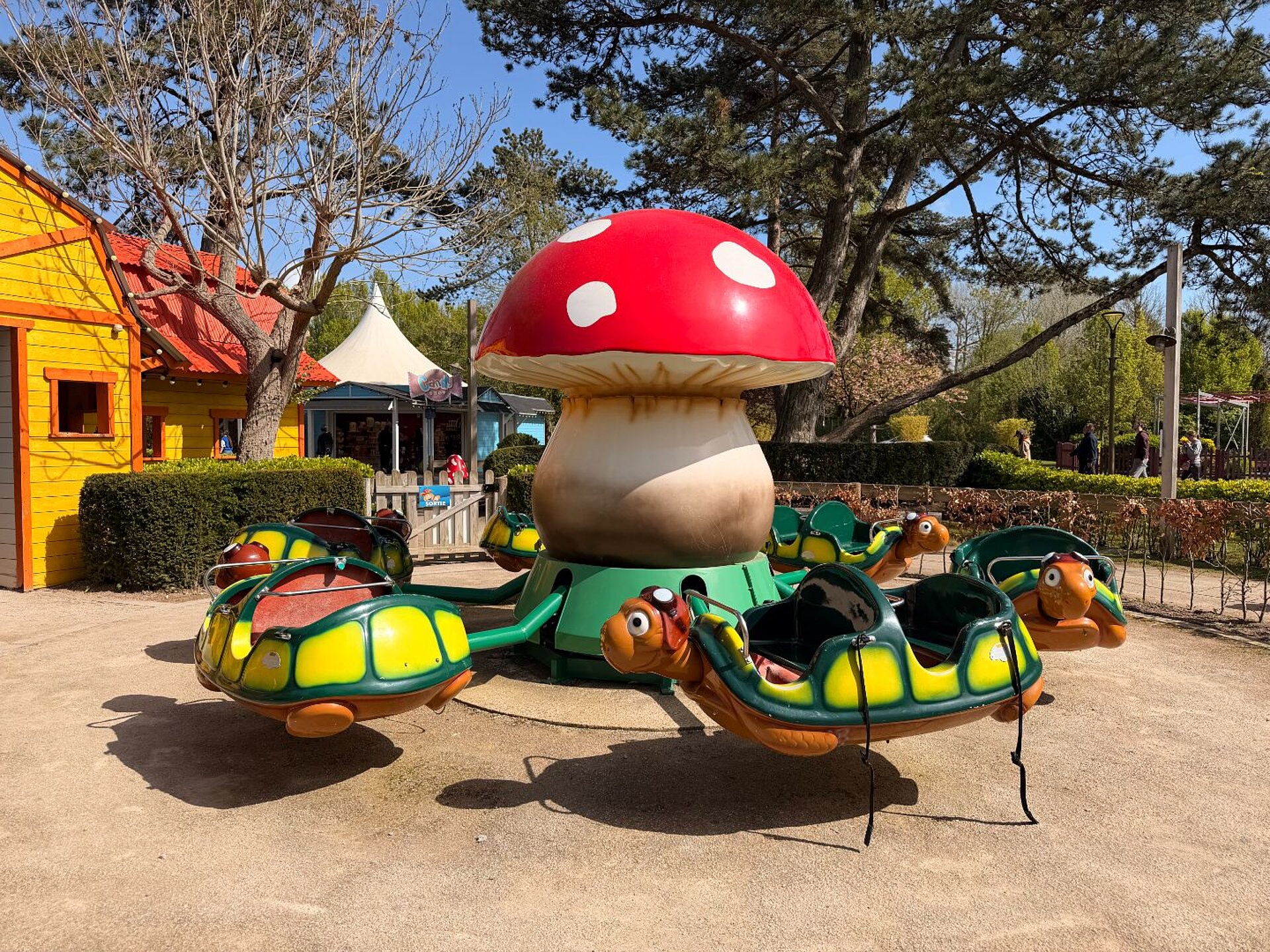 THE TURTLE CAROUSEL