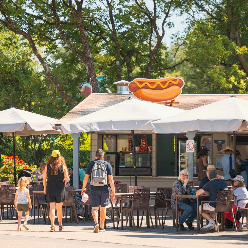 LE BUFFET DE LA GARE