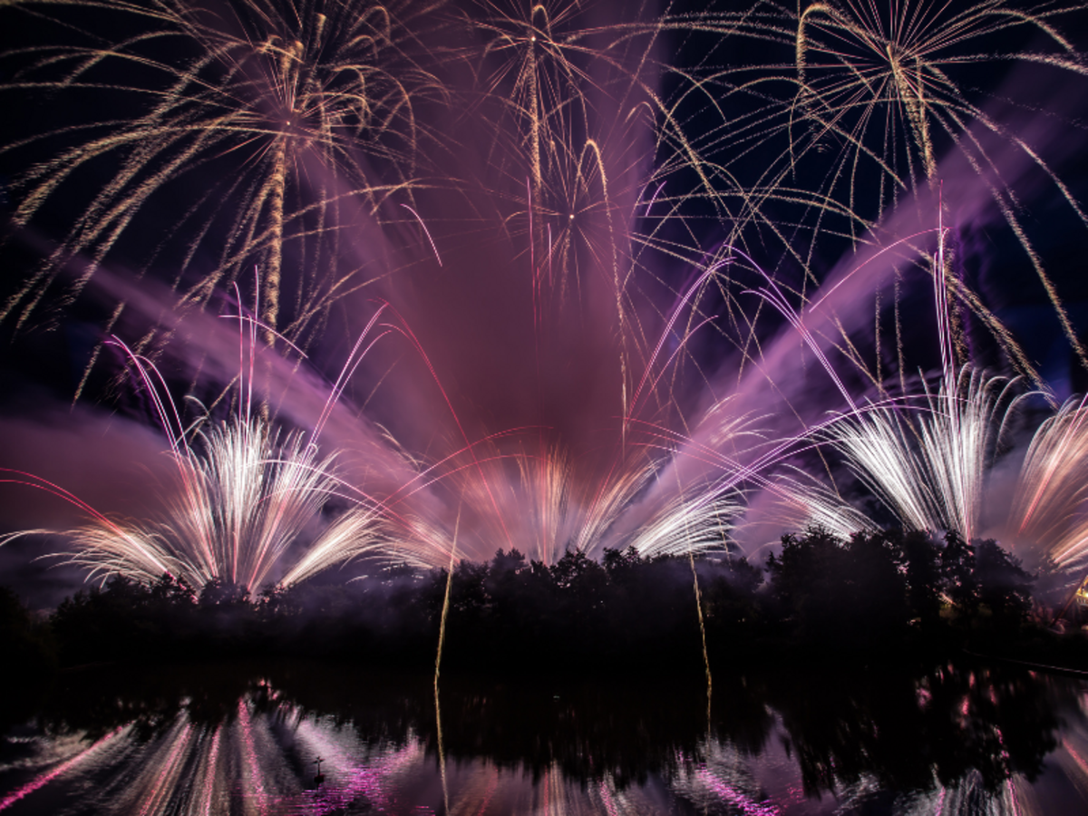Les nocturnes à ne pas manquer 