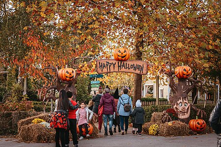 Le parc clôture sa saison 2025 avec 2 dernières nocturnes d'Halloween ! 