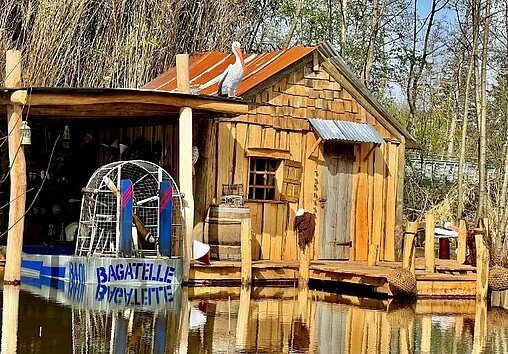 Photo du Bayou, une zone décorative du parc Bagatelle