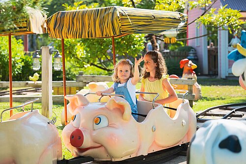 Les Cochons
