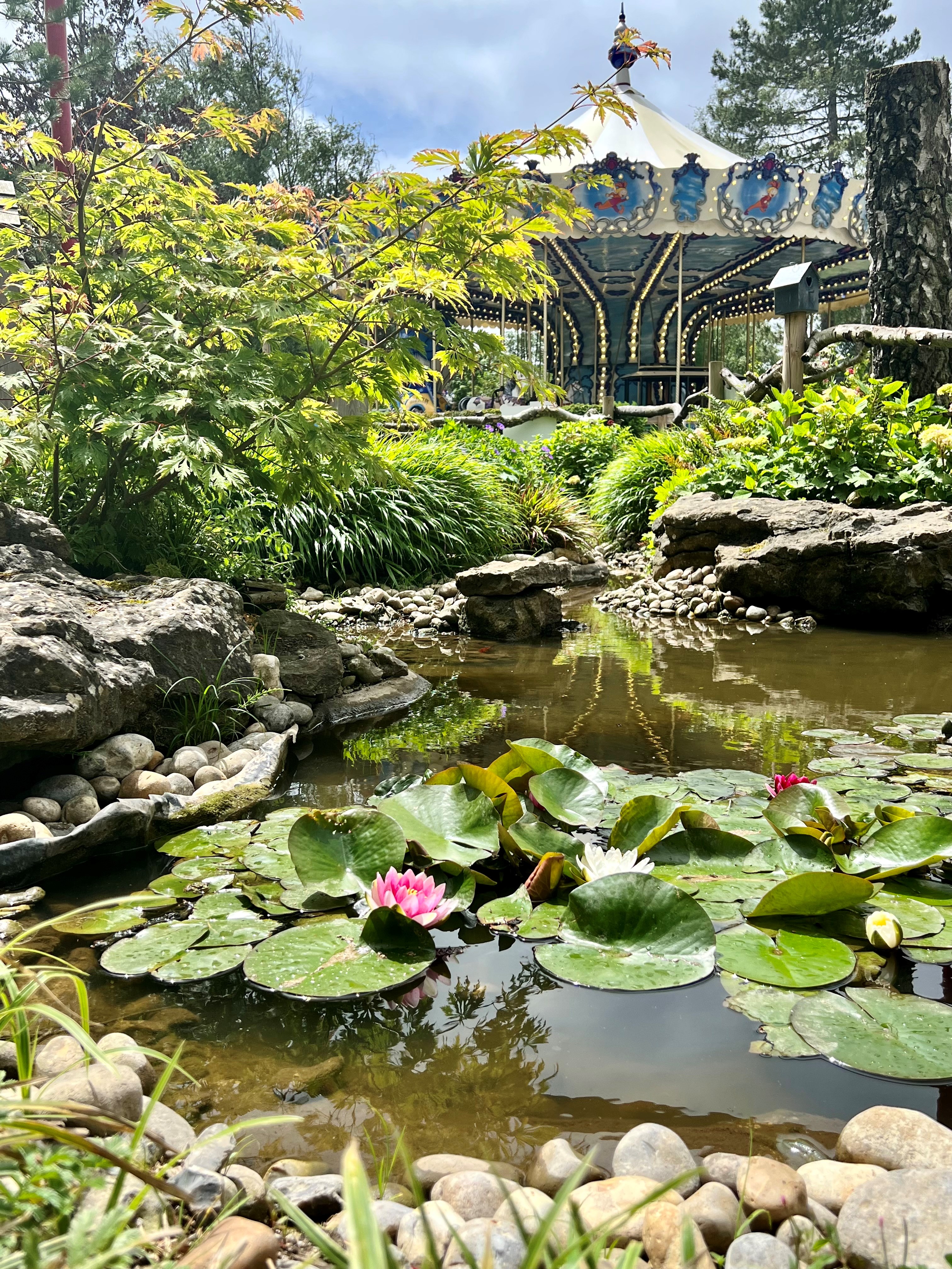 Photo de la mare aux Grenouilles de la Cité des Insectes, située au parc Bagatelle et servant à préserver la biodiversité