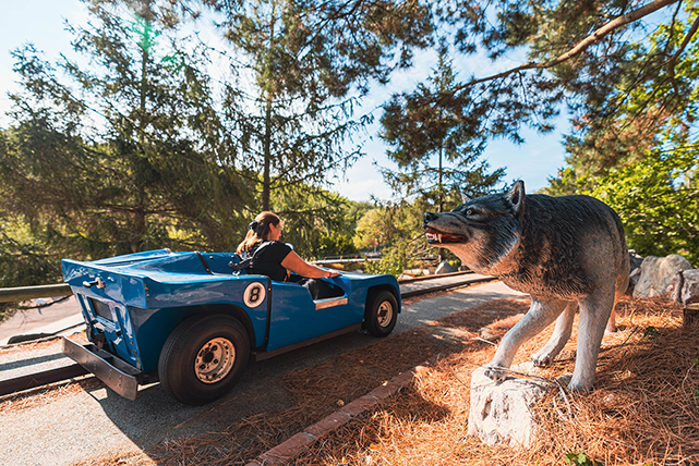 Photo du parcours du grand prix avec le décor du loup et aperçu de la voiture bleue de l'attraction