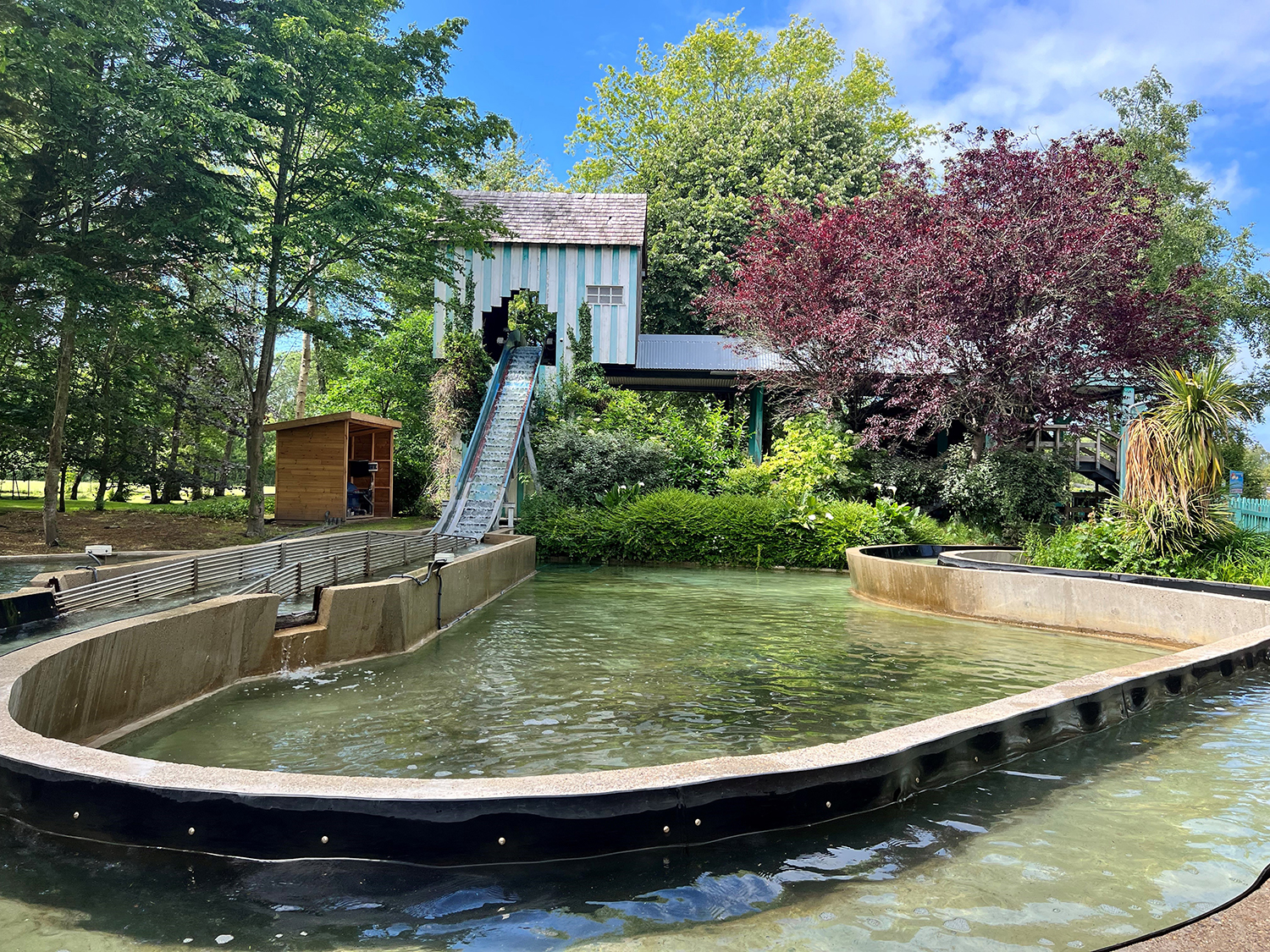 Bagatelle Splash Factory