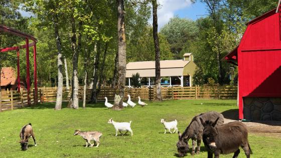 Photo des prés de la Ferme des Petits Amis, située au parc Bagatelle