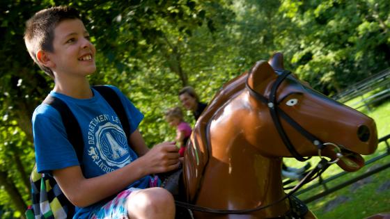 Photo d'un jeune ado assis sur un des chevaux de l'attraction O'Galop du parc Bagatelle