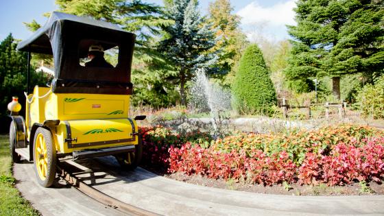 Zoom sur le véhicule jaune des Tacots avec le décor fleuri de l'attraction en arrière-plan